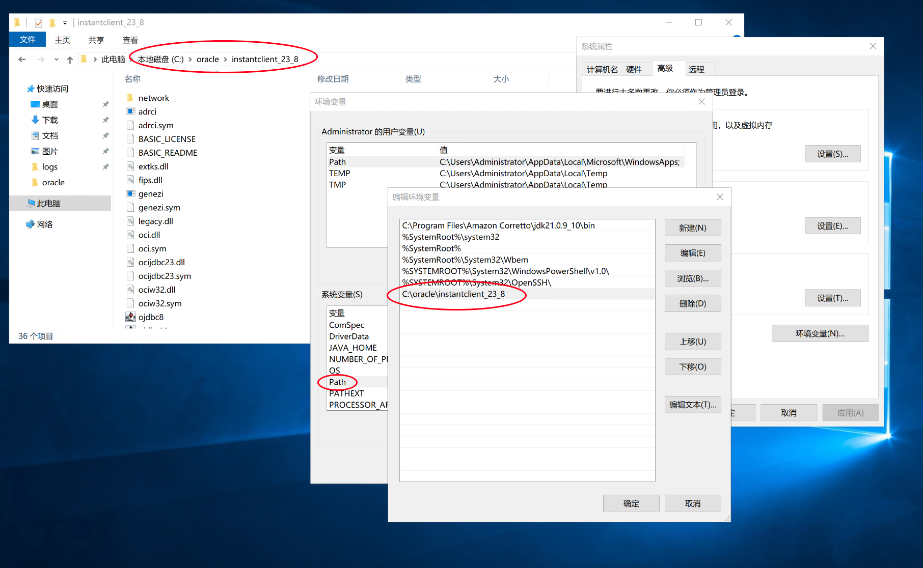 设置 PATH 环境变量